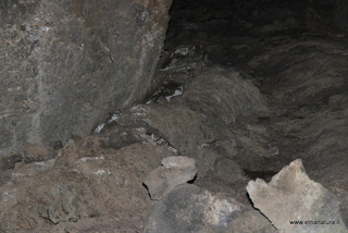 Grotta Nonna Syria